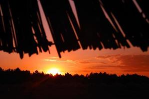 soleil sur la plage avec silhouette de parasols photo