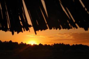 soleil sur la plage avec silhouette de parasols photo