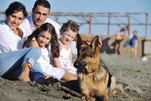 famille heureuse jouant avec un chien sur la plage photo