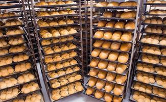 production d'usine alimentaire de boulangerie de pain avec des produits frais photo