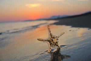 coucher de soleil sur la plage d'été avec étoile sur la plage photo