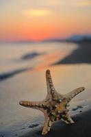 coucher de soleil sur la plage d'été avec étoile sur la plage photo