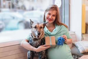 portrait d'une femme caucasienne souriante au café avec son chien en pull. femme enceinte tient une boîte-cadeau et un chausson tricoté bleu. photo