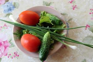 tomate et concombre sur une assiette avec des verts et des oignons verts photo