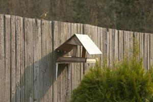 nourrir les oiseaux sur l'ancienne clôture photo