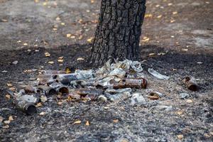 tas de déchets brûlés sous l'arbre - gros plan avec mise au point sélective photo