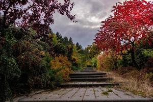 ruelle en Pologne photo