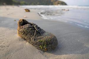 chaussure échouée au bord de la mer photo