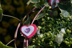 coeur, amour, plante, strauss, bricoler, pierre, tissu photo