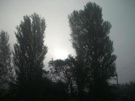 brume matinale d'automne dans le village photo