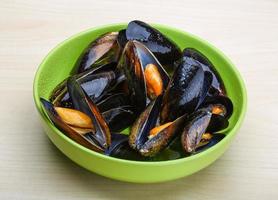 moules bouillies dans un bol photo