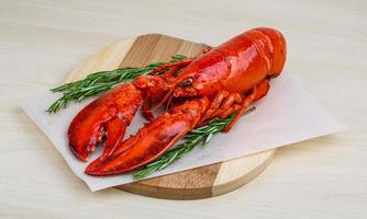 homard sur bois photo