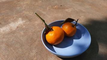 oranges mandarines dans un bol bleu avec sol en ciment apparent photo