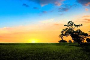 prairie lever du soleil nature paysage photo