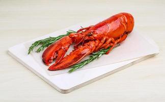 homard sur bois photo