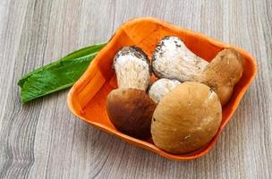 champignons sauvages sur bois photo