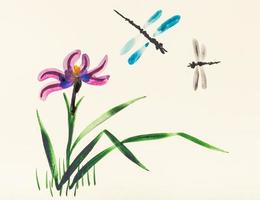 Deux libellules sur fleur d'iris sur prairie photo