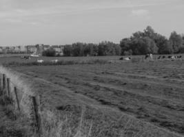 le petit village de grieth au bord du rhin photo