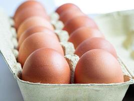 oeufs de poule bruns dans un emballage en carton tourné sous un angle faible photo