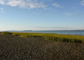 Marée basse à Dubury Bay avec rock beach et marsh grass photo