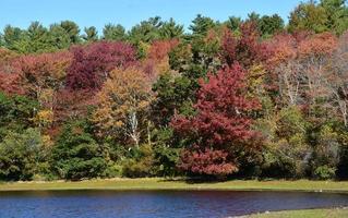 feuillage d'automne avec des feuilles tournant autour du lac photo