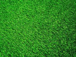 herbe verte dans le fond naturel pour la conception photo