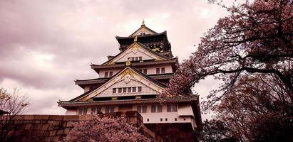 photo de paysage du château d'osaka au printemps, où il y a encore quelques fleurs de cerisier encore en fleurs.