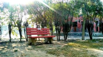 arbre de parc vert en plein air avec banc lumière du soleil photo