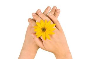 bijoux de bague de mariage fleur jaune sur les poignets de la femme, tournesol sur les mains féminines sur fond blanc photo