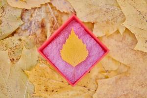 coffret cadeau avec feuille d'automne photo