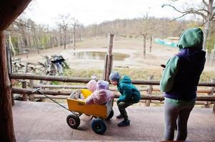 mère avec trois enfants découvrant et regardant des animaux au zoo. photo