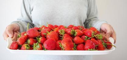 femme tenir un plateau blanc avec des fraises mûres rouges