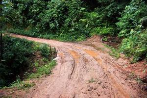 traces de pneus sur une route boueuse. photo