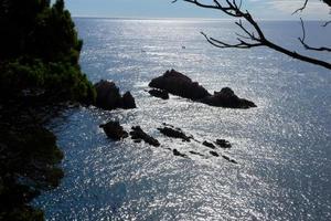 côte avec des rochers et une mer bleue pleine d'arbres qui atteignent presque la mer. photo
