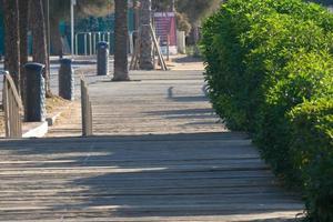 promenade de la plage de sant pol in s'agaro photo