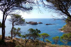 côte avec des rochers et une mer bleue pleine d'arbres qui atteignent presque la mer. photo