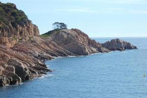 pins, rochers et falaises sur la costa brava catalane en mer méditerranée photo