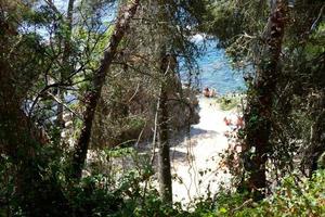 costa brava en été, soleil, mer et beaucoup de lumière photo