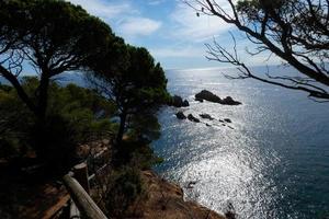 côte avec des rochers et une mer bleue pleine d'arbres qui atteignent presque la mer. photo