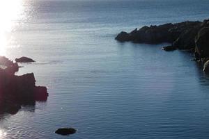 chien jouant et se baignant dans la mer tôt le matin. photo