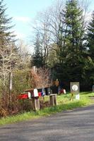 une boîte aux lettres dans les États-Unis ruraux sur fond de pins et de sapins. photo