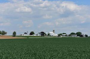 Ferme amish dans le comté de Lancaster en Pennsylvanie avec de magnifiques pâturages photo