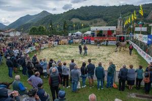 foire du bétail de bergamo italie 2022, le plus grand salon du bétail des vallées de bergame photo
