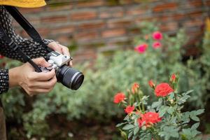 femme photographe avec appareil photo prenant une photo dans un jardin de roses