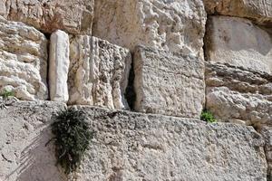 pierres du mur des lamentations sur le mont du temple dans la vieille ville de jérusalem. photo