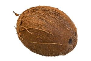 noix de coco sur blanc photo