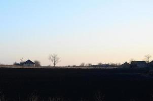 l'aube dans le village. une photo minimaliste avec une ligne d'horizon sur laquelle il y a un immeuble et un arbre