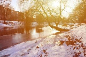 paysage d'hiver avec un grand arbre au bord de la rivière photo