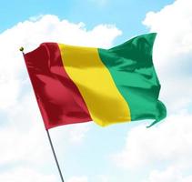 drapeau de la guinée photo