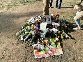 londres au royaume-uni en septembre 2022. hommages floraux à la reine dans le parc verdoyant de londres photo